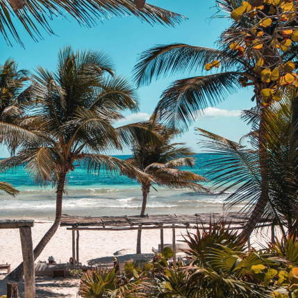 A beach in Mexico